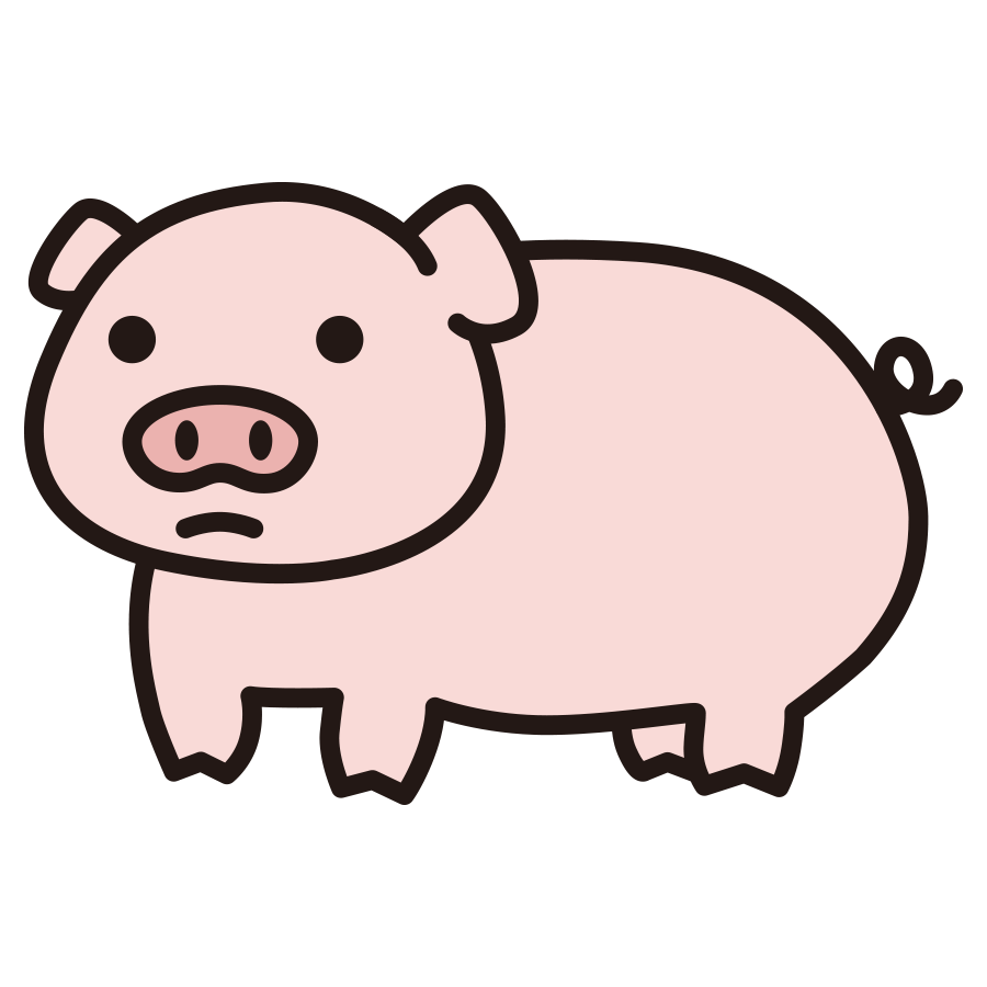 pig