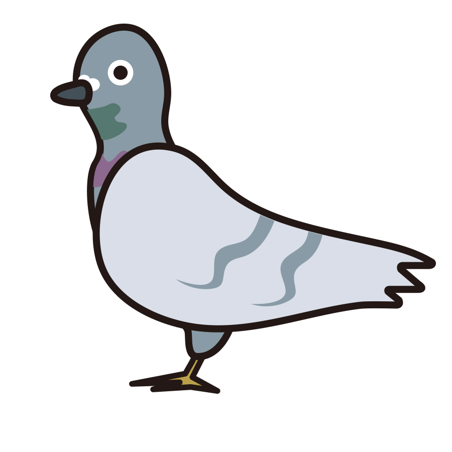 pigeon