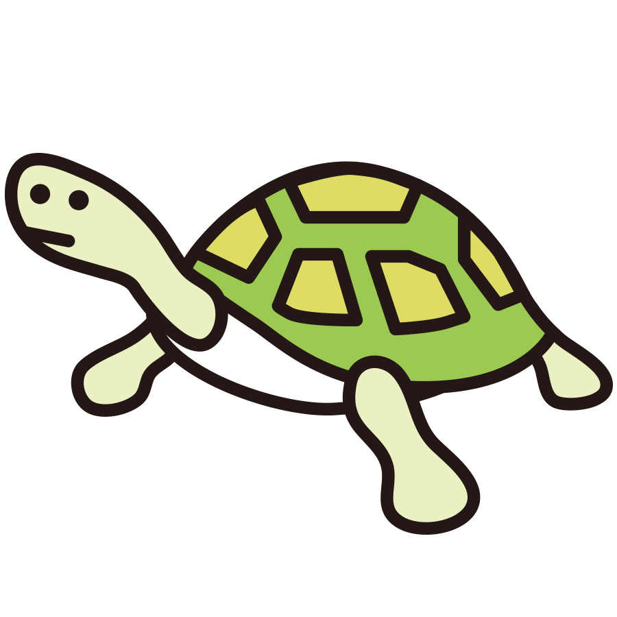 turtle