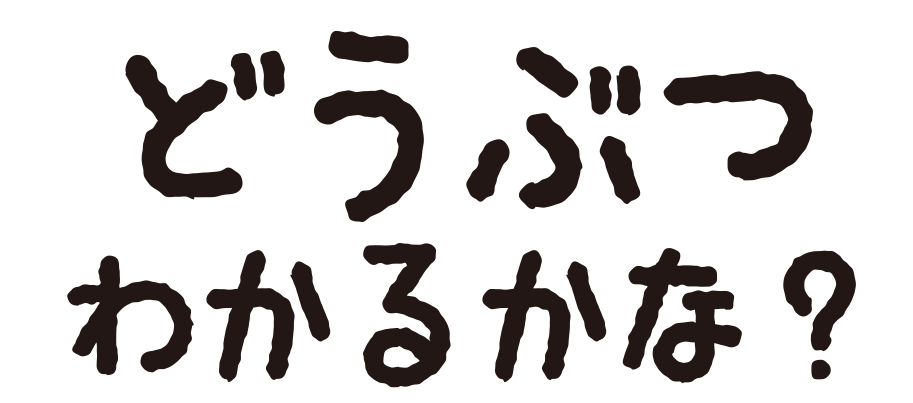 どうぶつのなまえいえるかな？