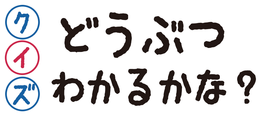 クイズ！どうぶつのなまえいえるかな？