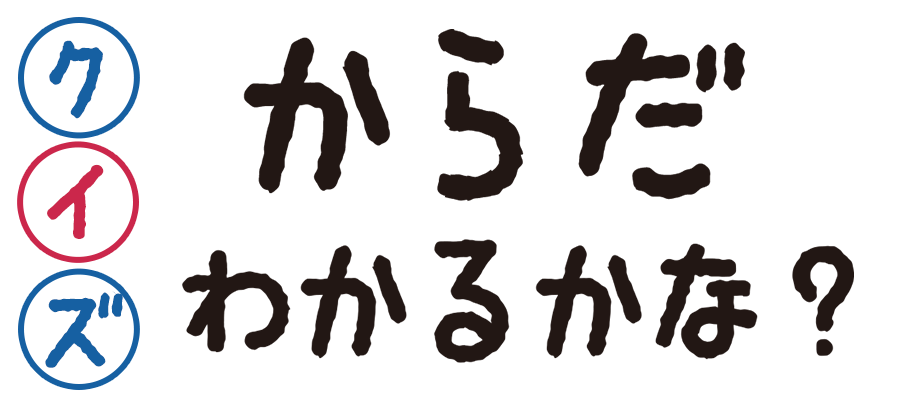 クイズ！からだわかるかな？