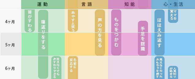4か月~6か月までの発達表