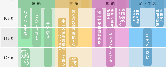 10か月～12か月までの発達表